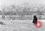 Immagine di Negro persone South Carolina United States USA, 1936, secondo 24 filmato di repertorio 65675031580