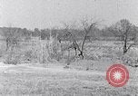 Immagine di Negro persone South Carolina United States USA, 1936, secondo 48 filmato di repertorio 65675031580