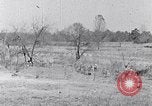 Immagine di Negro persone South Carolina United States USA, 1936, secondo 51 filmato di repertorio 65675031580