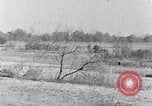 Immagine di Negro persone South Carolina United States USA, 1936, secondo 59 filmato di repertorio 65675031580