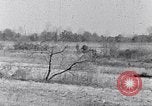 Immagine di Negro persone South Carolina United States USA, 1936, secondo 60 filmato di repertorio 65675031580