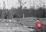 Standbild Afroamerikanische Bildung im ländlichen Süden der 1930er Jahre South Carolina United States USA, 1936, aus Sekunde 30 historischem Filmmaterial Videoclip 65675031581