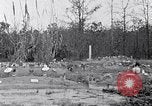 Standbild Afroamerikanische Bildung im ländlichen Süden der 1930er Jahre South Carolina United States USA, 1936, aus Sekunde 31 historischem Filmmaterial Videoclip 65675031581
