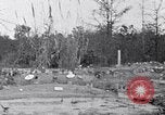 Standbild Afroamerikanische Bildung im ländlichen Süden der 1930er Jahre South Carolina United States USA, 1936, aus Sekunde 32 historischem Filmmaterial Videoclip 65675031581