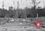 Standbild Afroamerikanische Bildung im ländlichen Süden der 1930er Jahre South Carolina United States USA, 1936, aus Sekunde 33 historischem Filmmaterial Videoclip 65675031581