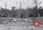Standbild Afroamerikanische Bildung im ländlichen Süden der 1930er Jahre South Carolina United States USA, 1936, aus Sekunde 34 historischem Filmmaterial Videoclip 65675031581