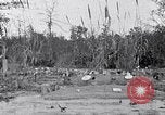 Standbild Afroamerikanische Bildung im ländlichen Süden der 1930er Jahre South Carolina United States USA, 1936, aus Sekunde 36 historischem Filmmaterial Videoclip 65675031581