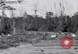 Standbild Afroamerikanische Bildung im ländlichen Süden der 1930er Jahre South Carolina United States USA, 1936, aus Sekunde 38 historischem Filmmaterial Videoclip 65675031581