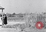 Image Negro personnes South Carolina United States USA, 1936, de la seconde 42 séquences d'archives historiques vidéo 65675031582