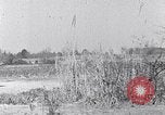 Image Negro personnes South Carolina United States USA, 1936, de la seconde 44 séquences d'archives historiques vidéo 65675031582