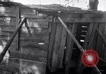 Standbild Negroiden South Carolina United States USA, 1936, aus Sekunde 5 historischem Filmmaterial Videoclip 65675031584