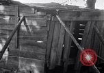 Standbild Negroiden South Carolina United States USA, 1936, aus Sekunde 7 historischem Filmmaterial Videoclip 65675031584
