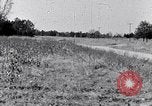 Standbild Negroiden South Carolina United States USA, 1936, aus Sekunde 34 historischem Filmmaterial Videoclip 65675031584