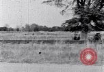 Standbild Negroiden South Carolina United States USA, 1936, aus Sekunde 48 historischem Filmmaterial Videoclip 65675031584
