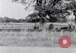 Standbild Negroiden South Carolina United States USA, 1936, aus Sekunde 49 historischem Filmmaterial Videoclip 65675031584