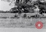 Standbild Negroiden South Carolina United States USA, 1936, aus Sekunde 50 historischem Filmmaterial Videoclip 65675031584