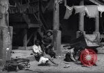 Image of African American life in Charleston 1930s Charleston South Carolina USA, 1939, second 40 stock footage video 65675031587