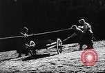 Standbild landwirtschaftlichen Praktiken Steiermark Österreich, 1944, aus Sekunde 12 historischem Filmmaterial Videoclip 65675031597