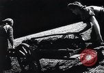 Standbild landwirtschaftlichen Praktiken Steiermark Österreich, 1944, aus Sekunde 17 historischem Filmmaterial Videoclip 65675031597