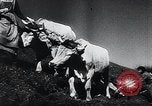 Standbild landwirtschaftlichen Praktiken Steiermark Österreich, 1944, aus Sekunde 29 historischem Filmmaterial Videoclip 65675031597