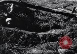 Standbild landwirtschaftlichen Praktiken Steiermark Österreich, 1944, aus Sekunde 31 historischem Filmmaterial Videoclip 65675031597