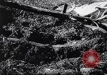 Standbild landwirtschaftlichen Praktiken Steiermark Österreich, 1944, aus Sekunde 32 historischem Filmmaterial Videoclip 65675031597