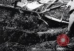 Standbild landwirtschaftlichen Praktiken Steiermark Österreich, 1944, aus Sekunde 33 historischem Filmmaterial Videoclip 65675031597