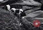 Standbild landwirtschaftlichen Praktiken Steiermark Österreich, 1944, aus Sekunde 36 historischem Filmmaterial Videoclip 65675031597