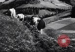 Standbild landwirtschaftlichen Praktiken Steiermark Österreich, 1944, aus Sekunde 38 historischem Filmmaterial Videoclip 65675031597