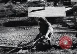 Standbild landwirtschaftlichen Praktiken Steiermark Österreich, 1944, aus Sekunde 41 historischem Filmmaterial Videoclip 65675031597