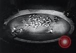 Image of German children Austria, 1944, second 38 stock footage video 65675031598