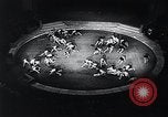 Image of German children Austria, 1944, second 42 stock footage video 65675031598