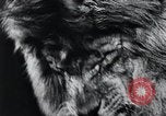 Image of German Circus during World War 2 Germany, 1944, second 1 stock footage video 65675031599