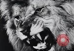 Image of German Circus during World War 2 Germany, 1944, second 3 stock footage video 65675031599