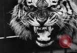 Image of German Circus during World War 2 Germany, 1944, second 5 stock footage video 65675031599