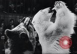 Image of German Circus during World War 2 Germany, 1944, second 9 stock footage video 65675031599