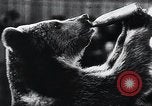 Image of German Circus during World War 2 Germany, 1944, second 11 stock footage video 65675031599