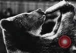 Image of German Circus during World War 2 Germany, 1944, second 13 stock footage video 65675031599