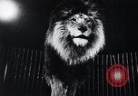 Image of German Circus during World War 2 Germany, 1944, second 16 stock footage video 65675031599