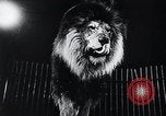 Image of German Circus during World War 2 Germany, 1944, second 17 stock footage video 65675031599