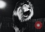 Image of German Circus during World War 2 Germany, 1944, second 18 stock footage video 65675031599