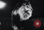 Image of German Circus during World War 2 Germany, 1944, second 19 stock footage video 65675031599