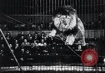 Image of German Circus during World War 2 Germany, 1944, second 26 stock footage video 65675031599