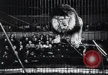 Image of German Circus during World War 2 Germany, 1944, second 27 stock footage video 65675031599