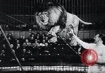 Image of German Circus during World War 2 Germany, 1944, second 28 stock footage video 65675031599