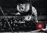 Image of German Circus during World War 2 Germany, 1944, second 30 stock footage video 65675031599
