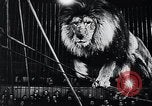 Image of German Circus during World War 2 Germany, 1944, second 33 stock footage video 65675031599