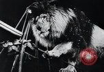 Image of German Circus during World War 2 Germany, 1944, second 35 stock footage video 65675031599