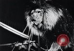 Image of German Circus during World War 2 Germany, 1944, second 36 stock footage video 65675031599