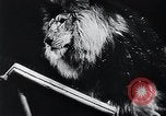 Image of German Circus during World War 2 Germany, 1944, second 37 stock footage video 65675031599